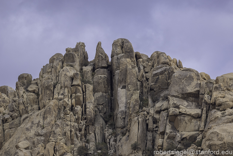 Joshua Tree National Park